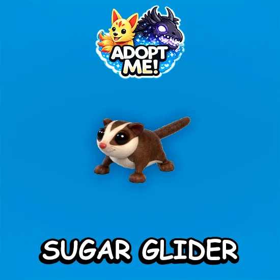Sugar Glider