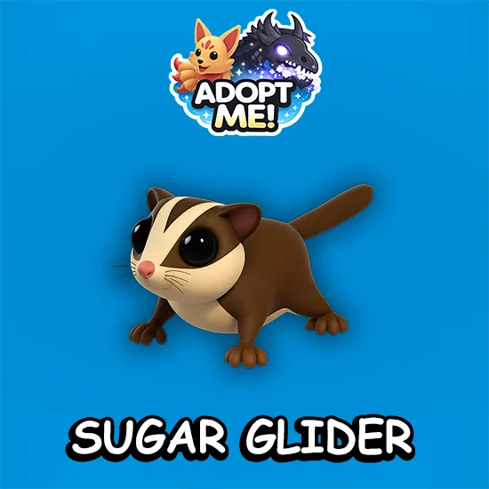 Sugar Glider