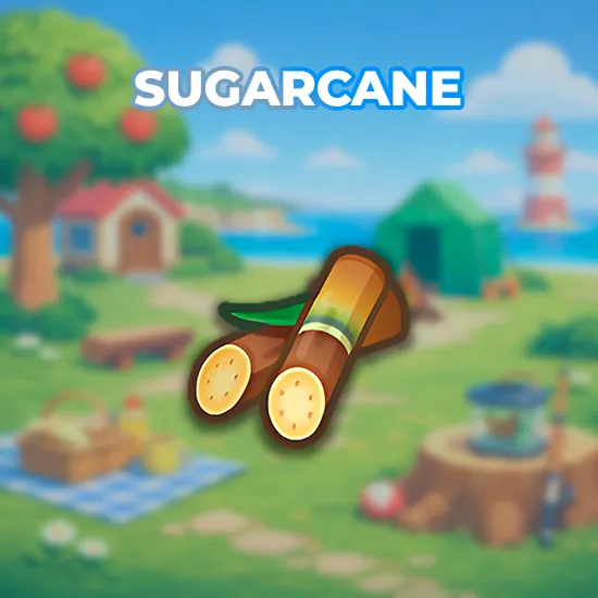 Sugarcane