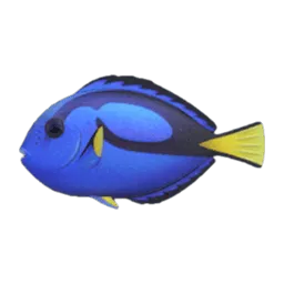 Surgeonfish