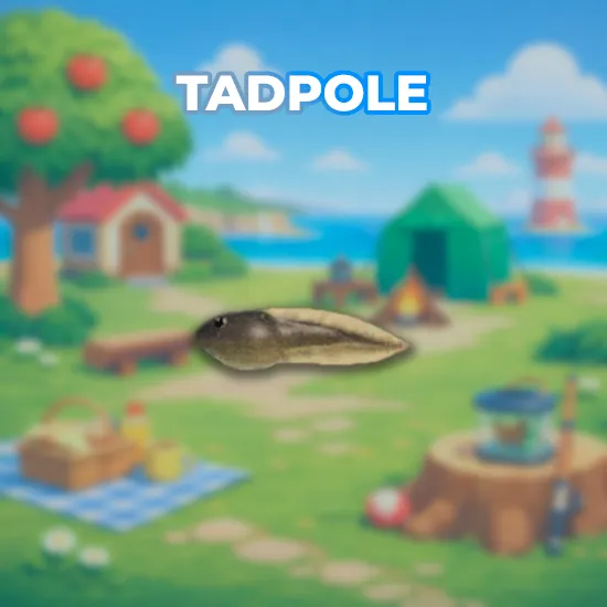Tadpole