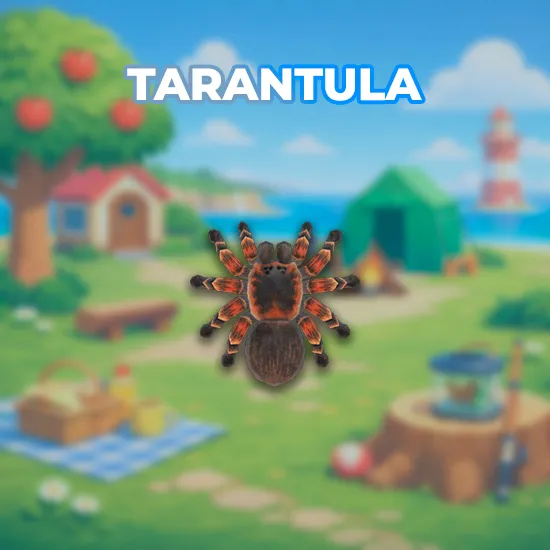 Tarantula