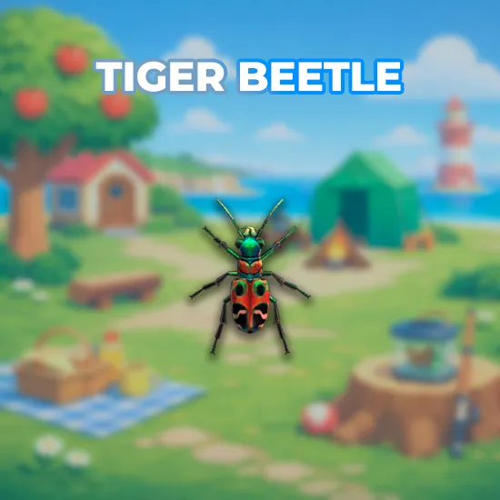 Tiger Beetle