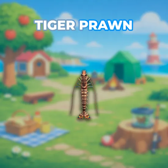 Tiger Prawn