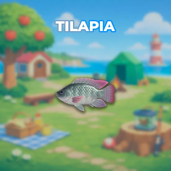 Tilapia