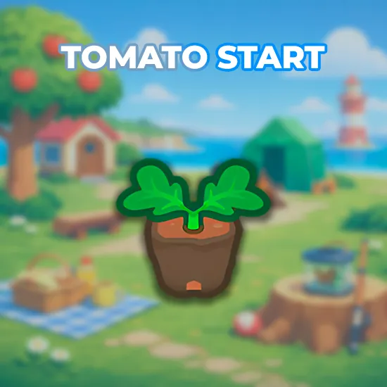 Tomato Start
