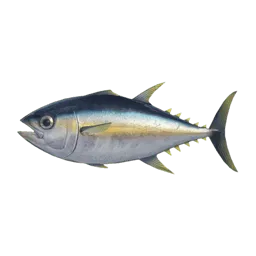 Tuna