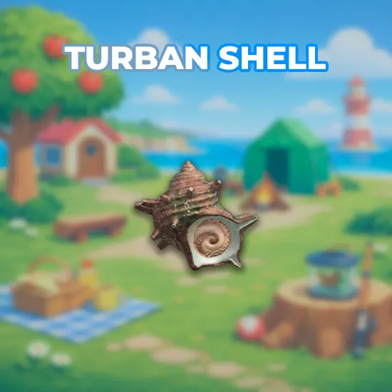 Turban Shell