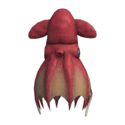 Vampire Squid