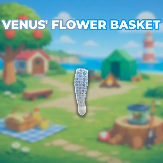Venus' Flower Basket