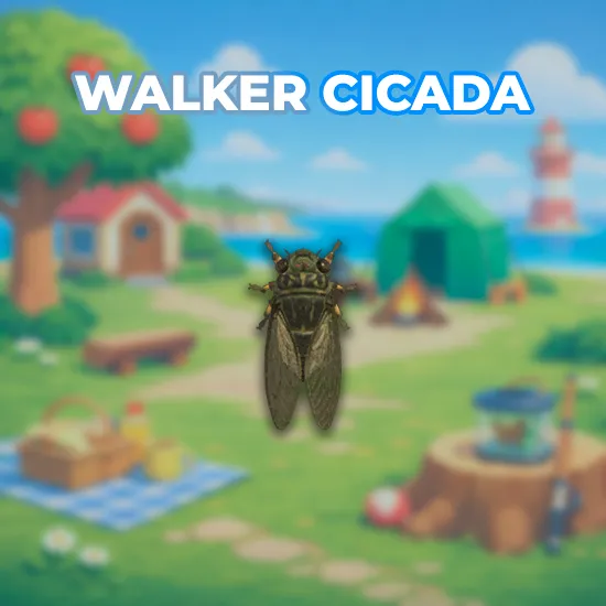 Walker Cicada