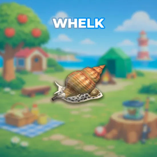 Whelk