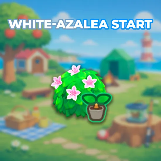 White-Azalea Start
