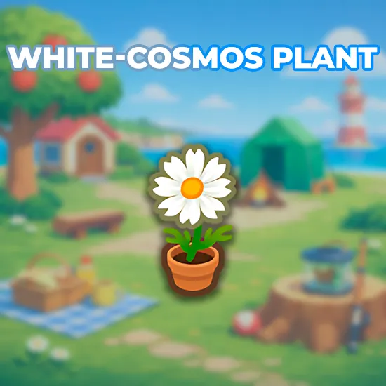 White-Cosmos Plant