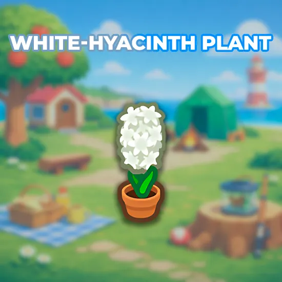 White-Hyacinth Plant