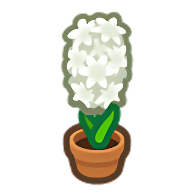White-Hyacinth Plant