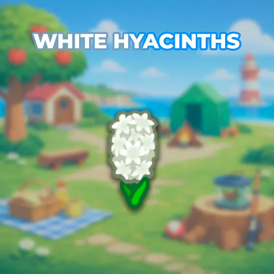 White Hyacinths