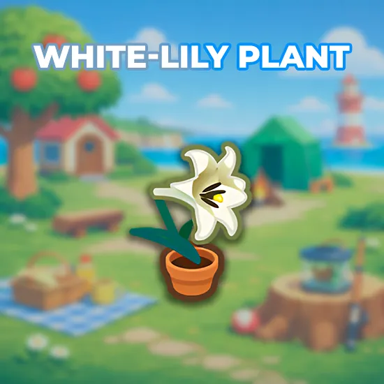 White-Lily Plant