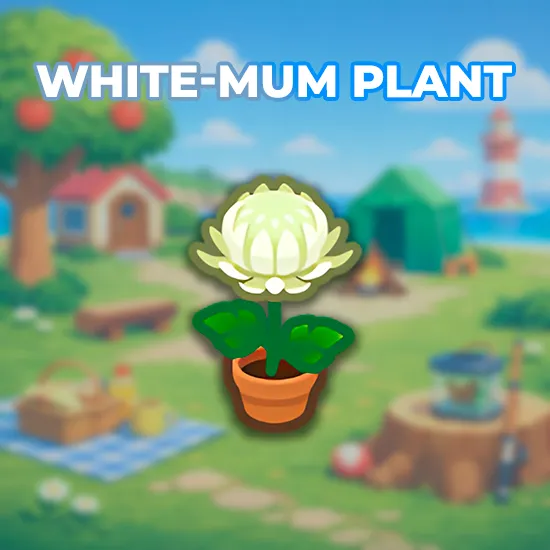 White-Mum Plant