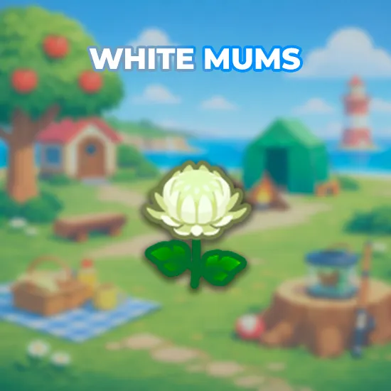 White Mums