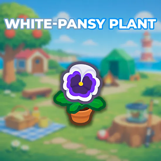 White-Pansy Plant
