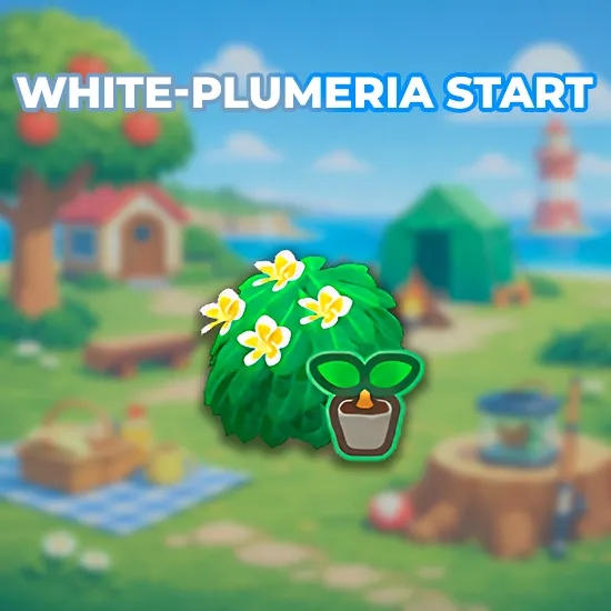 White-Plumeria Start