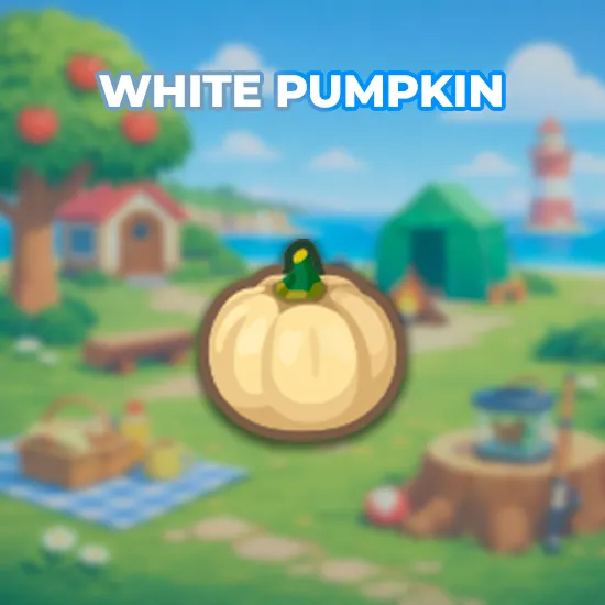 White Pumpkin