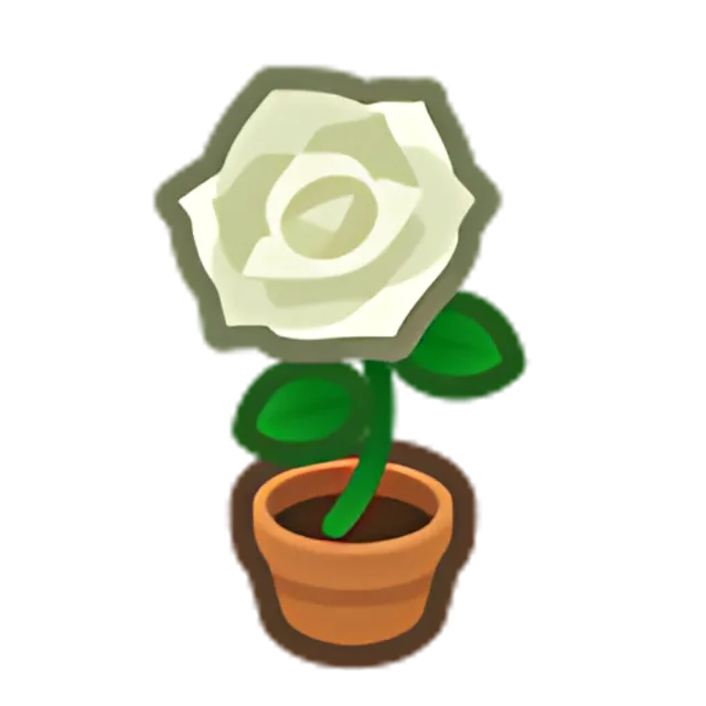 White-Rose Plant