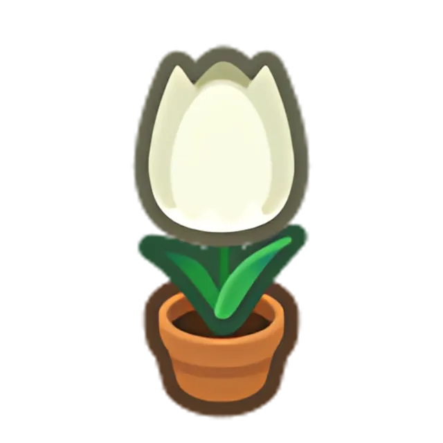 White-Tulip Plant