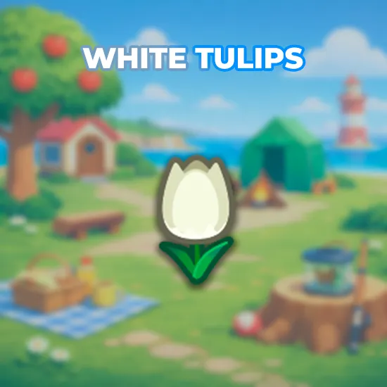 White Tulips