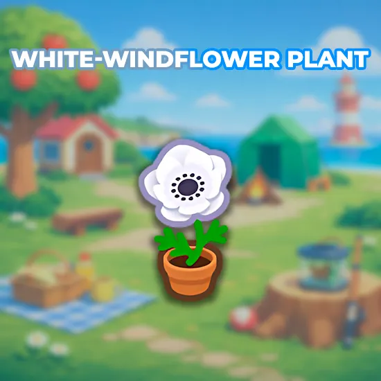 White-Windflower Plant
