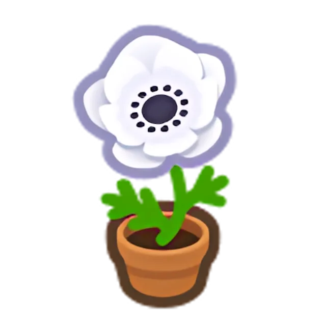 White-Windflower Plant