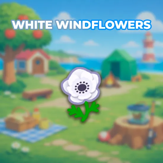 White Windflowers