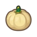 White Pumpkin