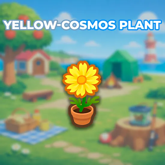Yellow-Cosmos Plant