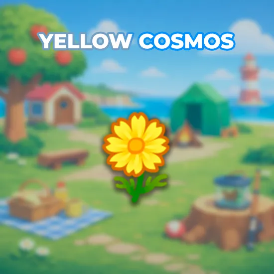 Yellow Cosmos