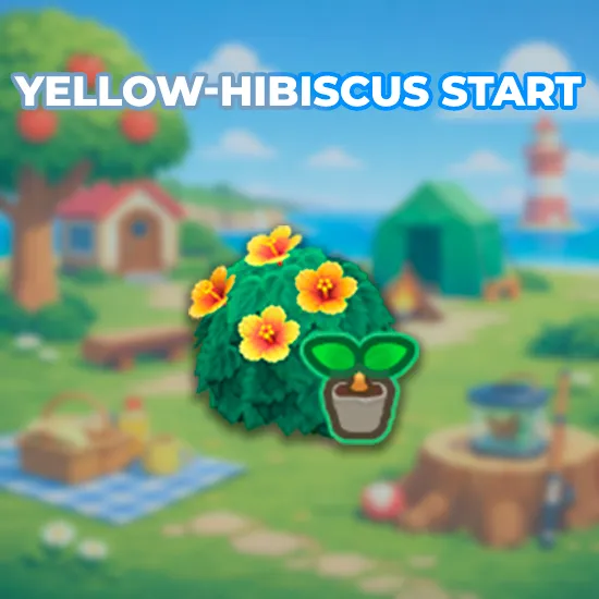 Yellow-Hibiscus Start