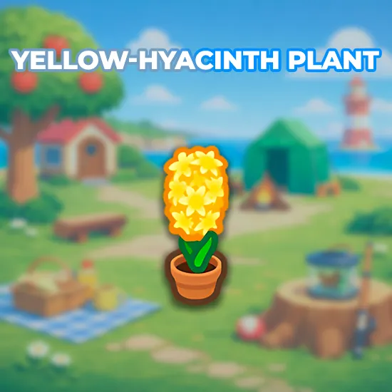 Yellow-Hyacinth Plant