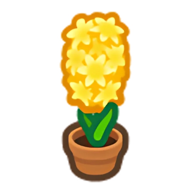 Yellow-Hyacinth Plant