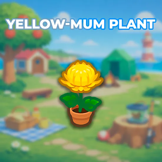 Yellow-Mum Plant
