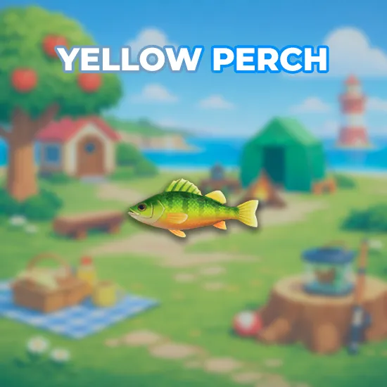 Yellow Perch
