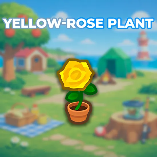 Yellow-Rose Plant