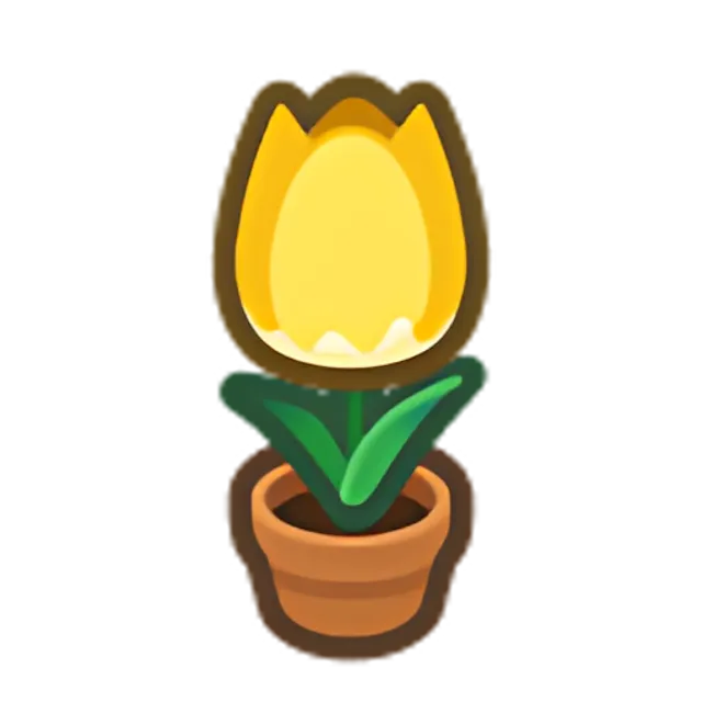 Yellow-Tulip Plant