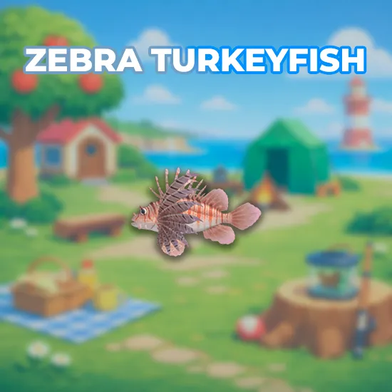Zebra Turkeyfish