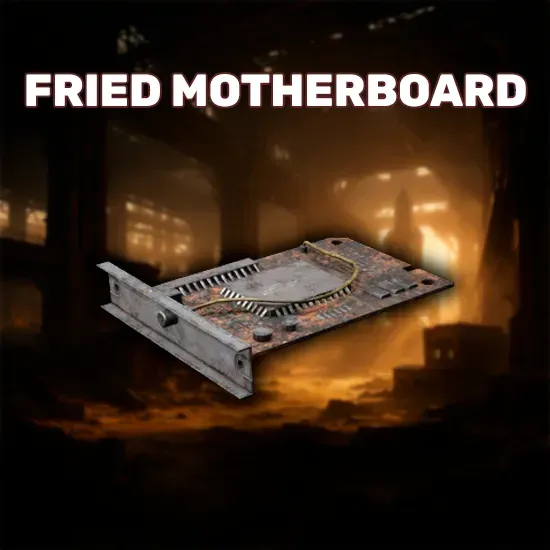 Fried Motherboard