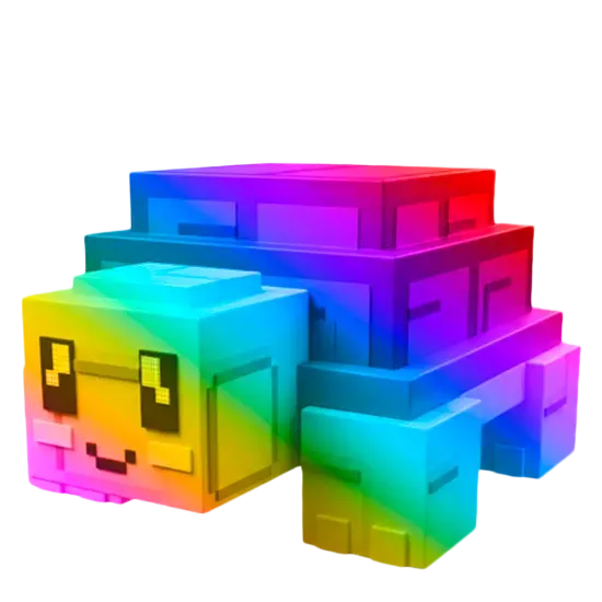Rainbow Turtle