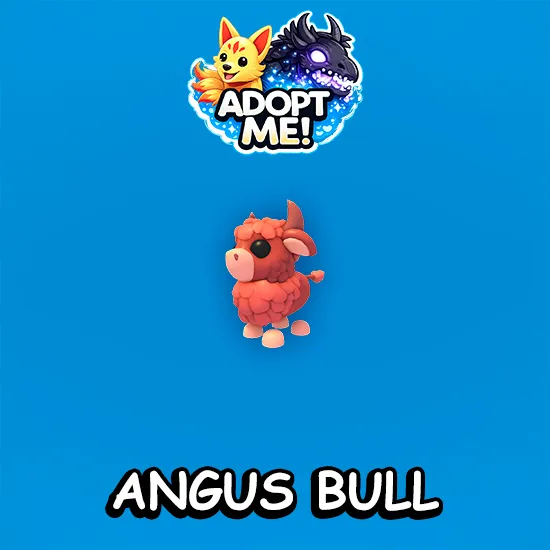 Angus Bull