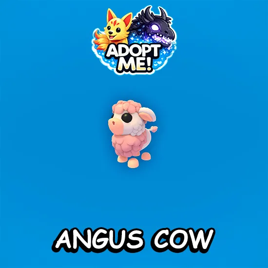 Angus Cow
