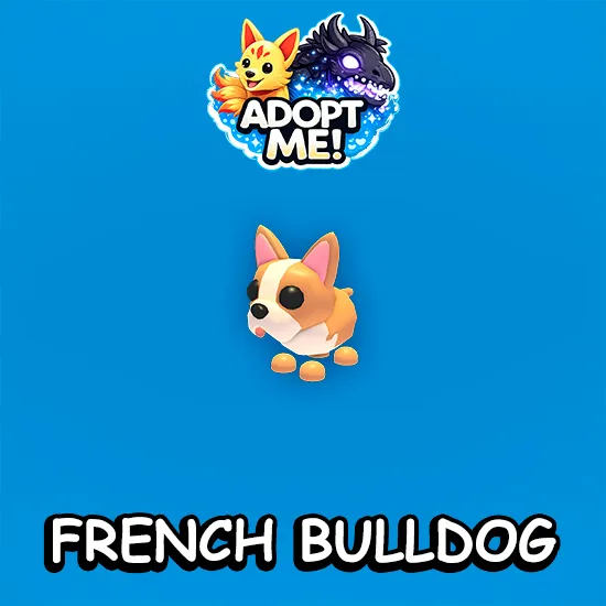 French Bulldog