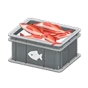 Gray x Fish